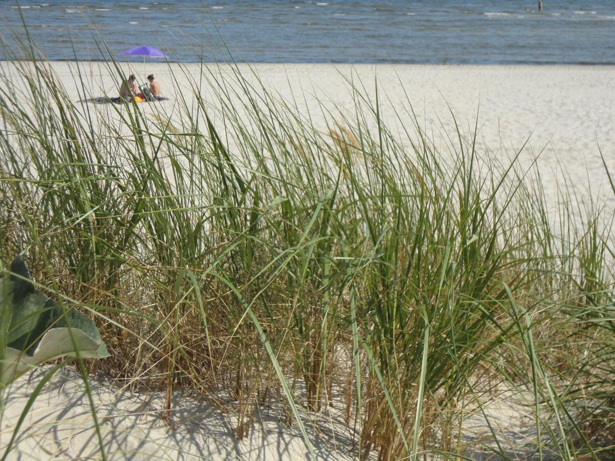 Ostseemuschel Karlshagen Ngoại thất bức ảnh