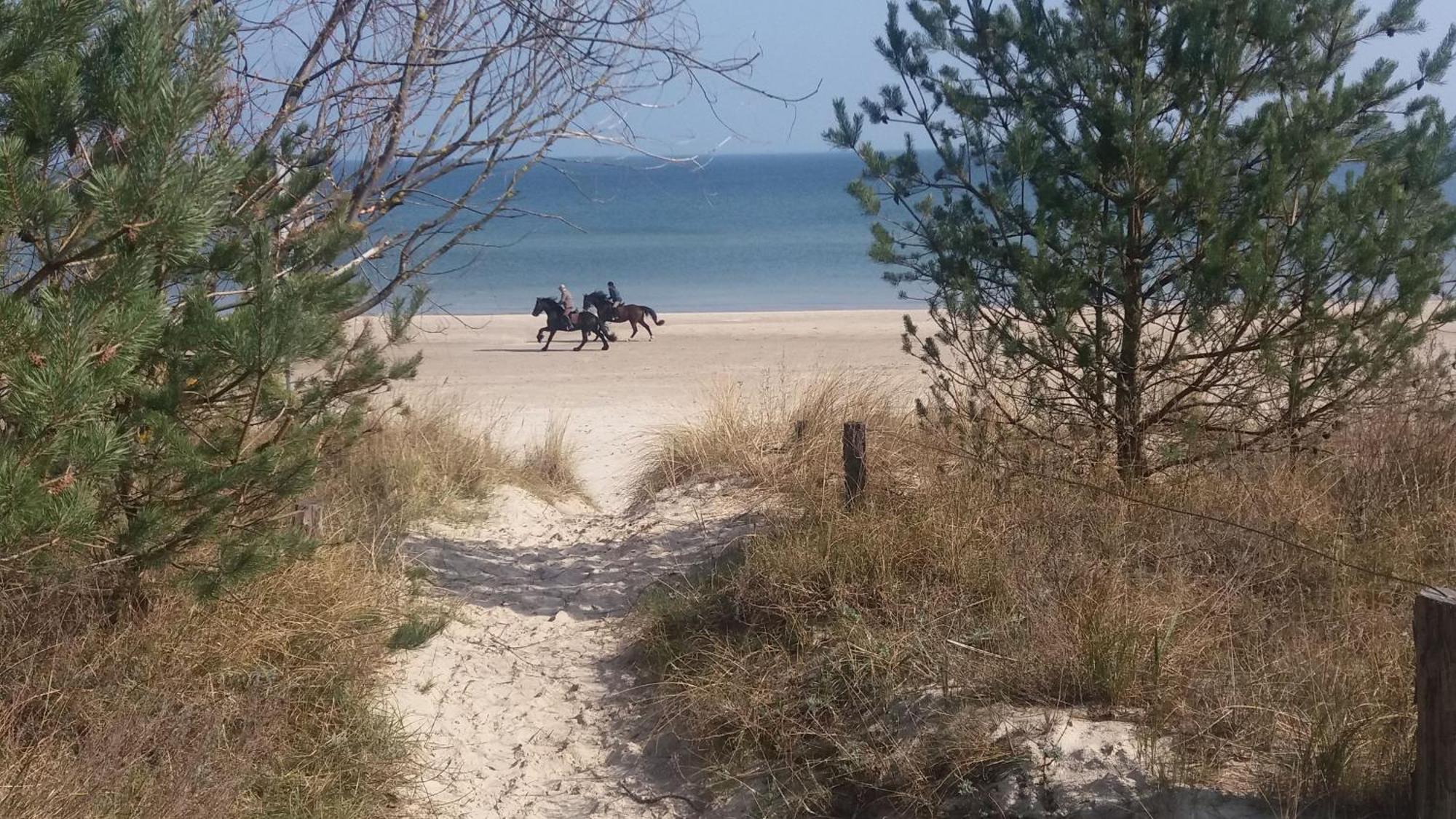 Ostseemuschel Karlshagen Ngoại thất bức ảnh